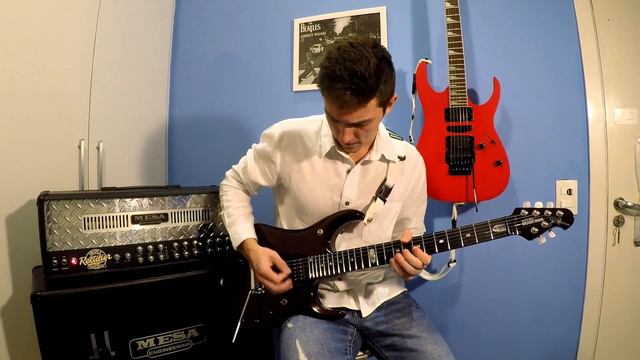 $300 vs $3000 Guitar Comparison. Ibanez vs Music Man