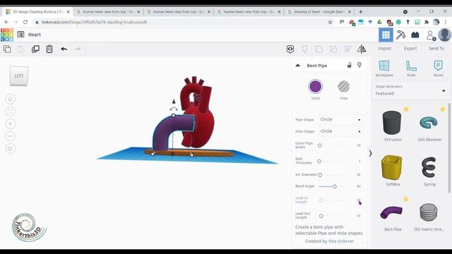 3D modeling a Human Heart in TinkerCAD (Stand). 3D printing