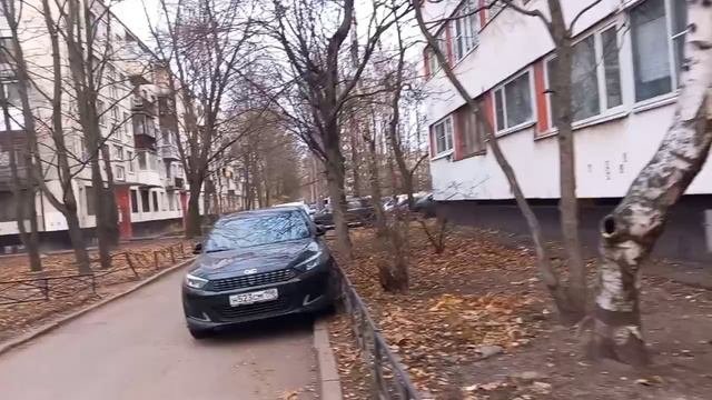 19 ноября 2023. День мужчин.