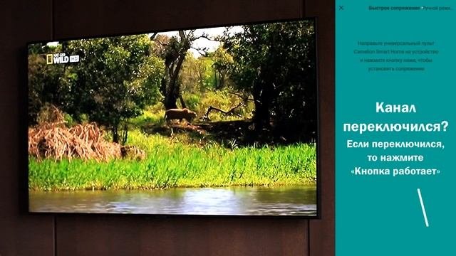 Обзор умного пульта Camelion Smart Home как добавить в приложение