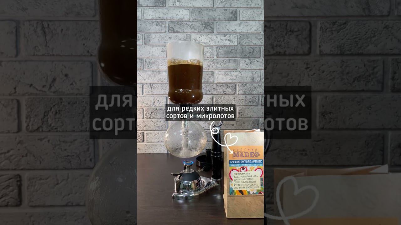 Готовим в сифоне редкий сорт #кофе из Бразилии