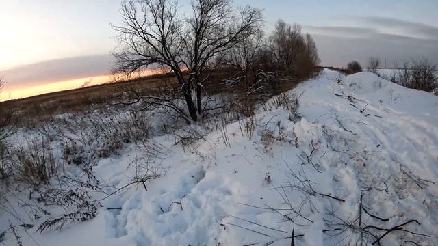Добыл трех фазанов! Охота на фазана на Дальнем востоке с МР-155. Полдня не работала камера)