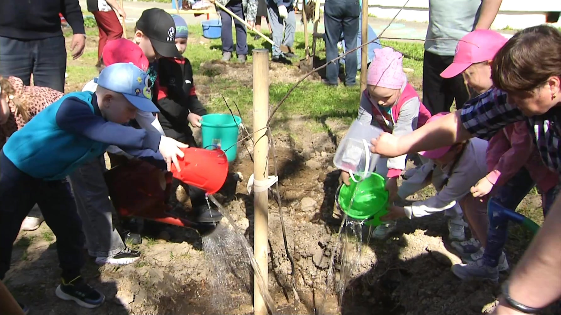 Новый яблоневый сад в детском саду «Яблонька»