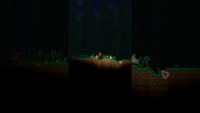 How to Instantly Move NPCs in Terraria