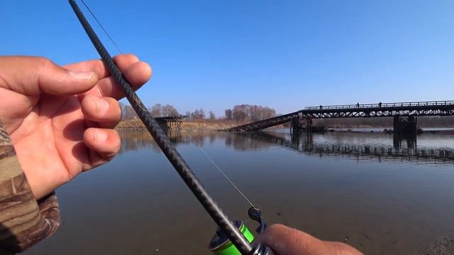 Таймень должен жить!