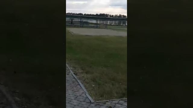 Утро .Вид через камеру..