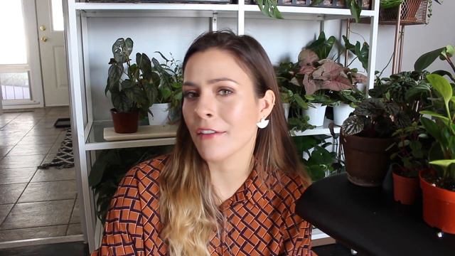 Peperomia Plant Care Tips & Tricks | Peperomia Houseplant Care!