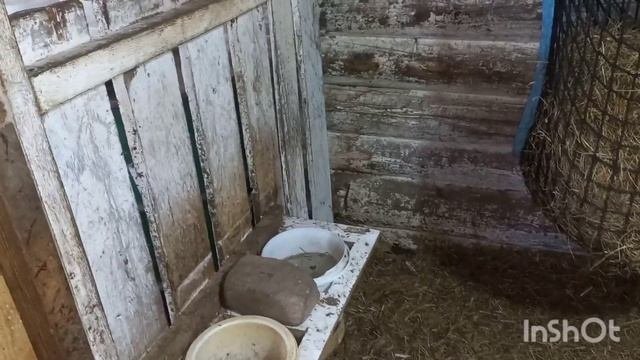Загон для козлят. Кормушки для коз.