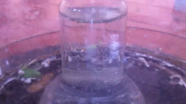 Вакуум проти води