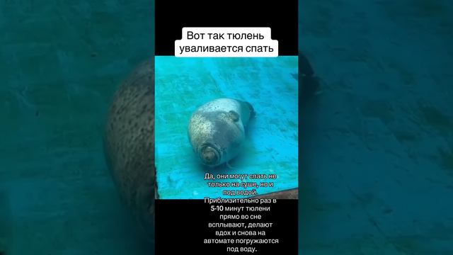 Теперь вы знаете