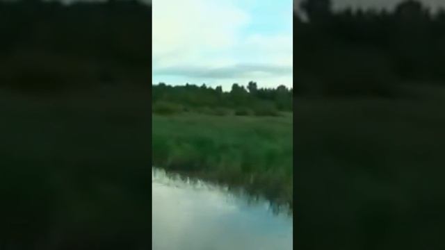 Бежит река