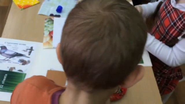 Лэпбук «Зимующие птицы» для малышей