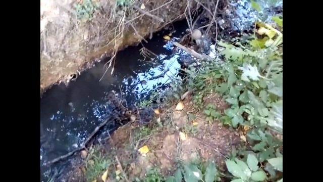 Волоколамск. Ядрово. Слив отравы в Городню
