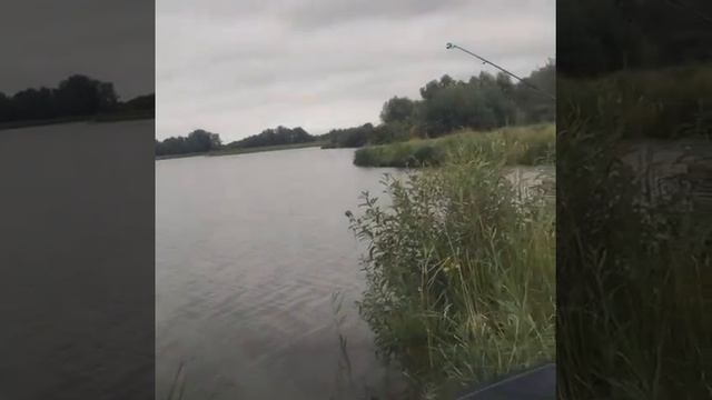 Рыбалка в Барнауле