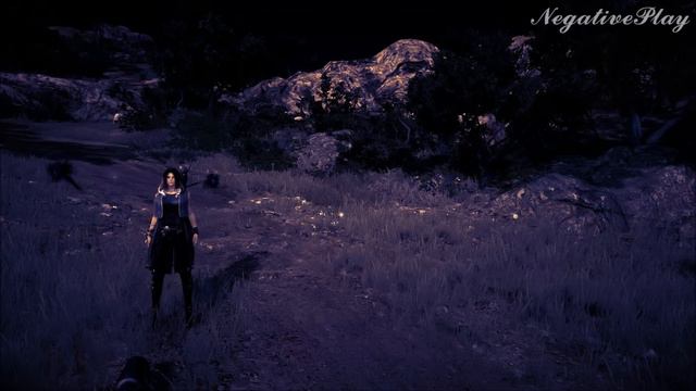Black Desert Sorcerer AFK MODE/Колдунья АФК РЕЖИМ