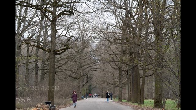 ПОРТРЕНЫЙ МОНСТР - Sony 135mm f/1.8 GM