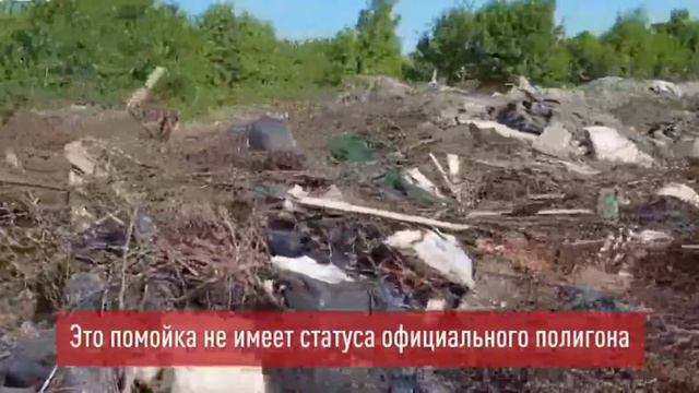 Огромная незаконная свалка появилась по улице Заводской в городе Россошь. 😬🤫