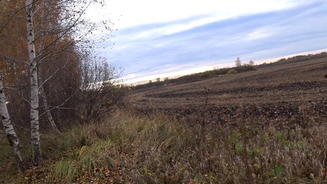 Продолжаем нагонку, 22.10.23 г.