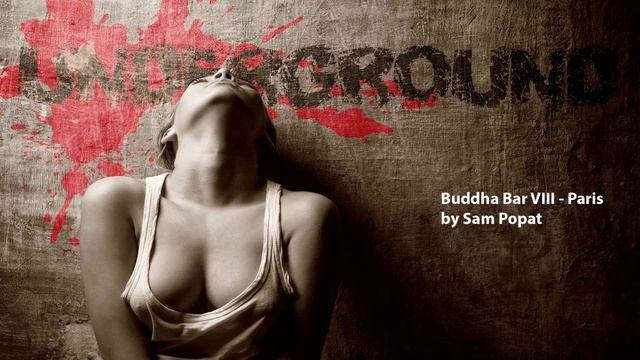 01. Sanja Ilić  Balkanika - Korana Buddha Bar VIII - Paris