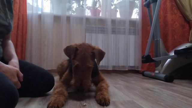 Защита. Дина. Покажи кусочек дома.