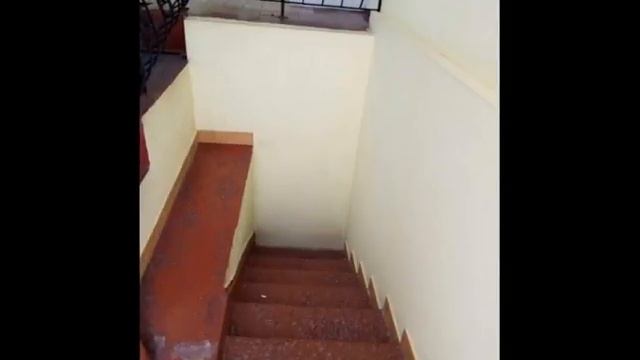 приколы с лестницей