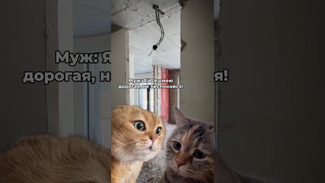 1000200376.mp4