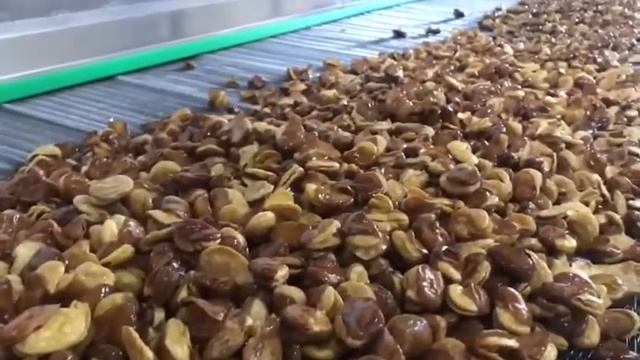 Процесс производства жареных бобов