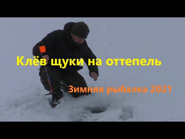 Зимняя Рыбалка 2021. Щука на Жерлицы. Хороший клев на оттепель.