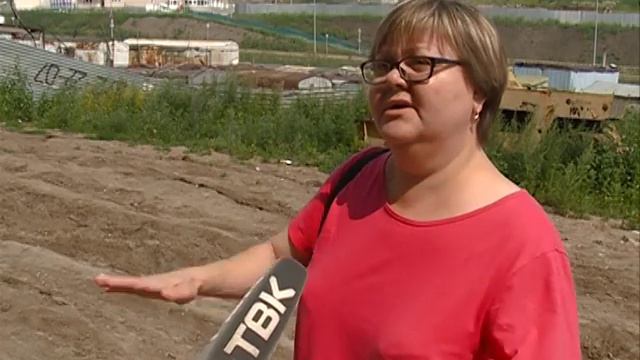 В Красноярске пропадают бродячие собаки рядом со стройкой