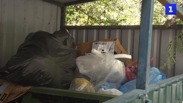 Горы зловонного мусора копятся в историческом центре Севастополя