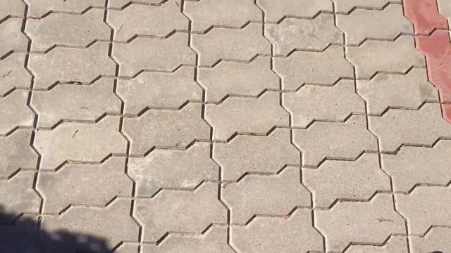 Последний день в Сочи