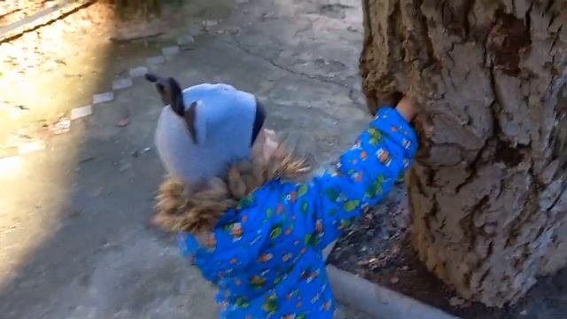 Vlog 24.01.23 Погода сказка, гуляем.  Очень нравится курс по дизайну