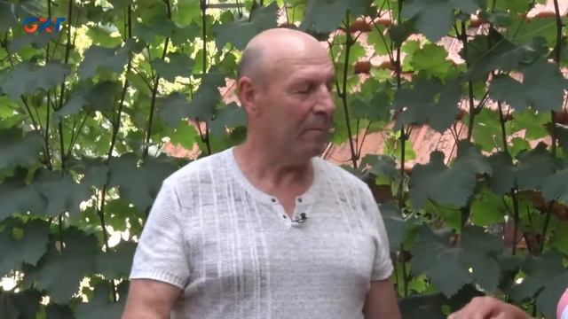 Рецепты от ГРТ ИВАН БОЗБЕЙ