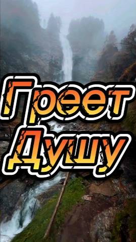 Греет душу баня!