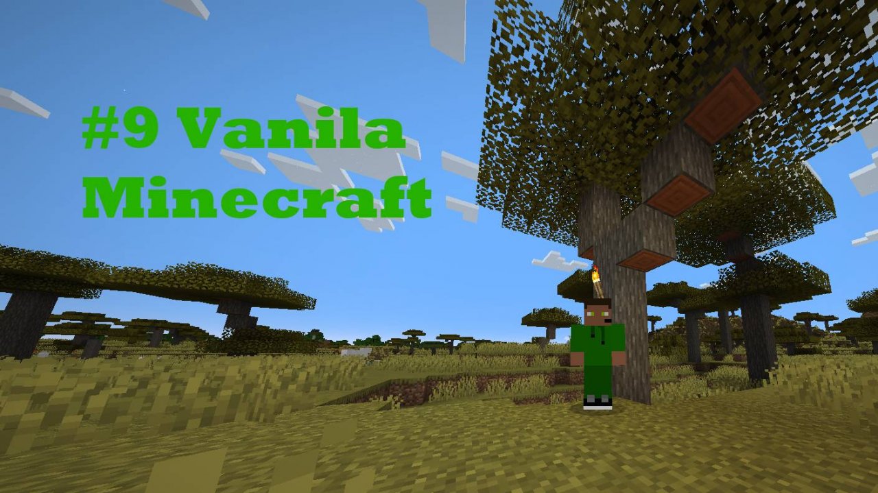 #9 Vanila Minecraft