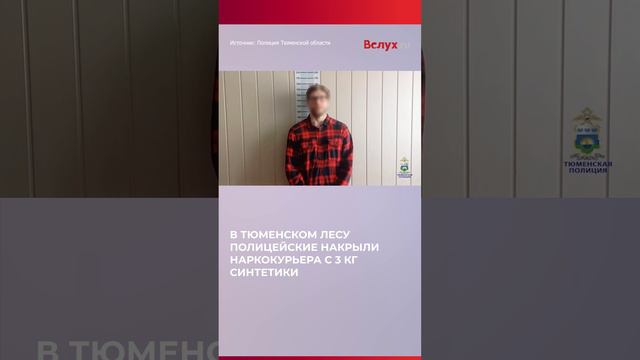 В тюменском лесу сотрудники полиции остановили автомобиль с запрещенкой