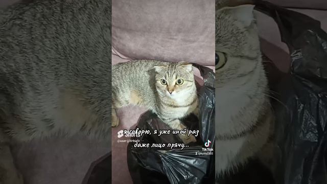 Вот что значит настоящая популярность Луна ❤😻