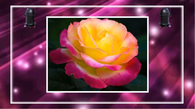 Розовый Рай и позитив для вас друзья! ProShow Slideshow