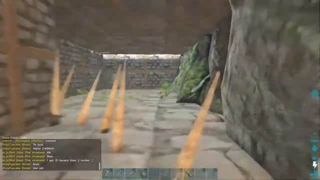 Ark
