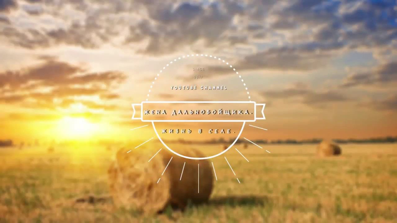 Жизнь куриная, дневники курицы/Жизнь в деревне