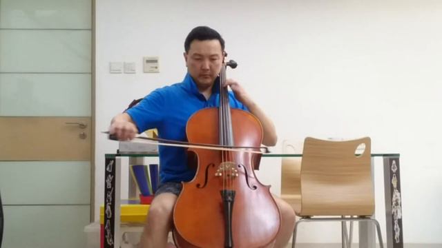 Versum vs. Magnacore Cello Strings