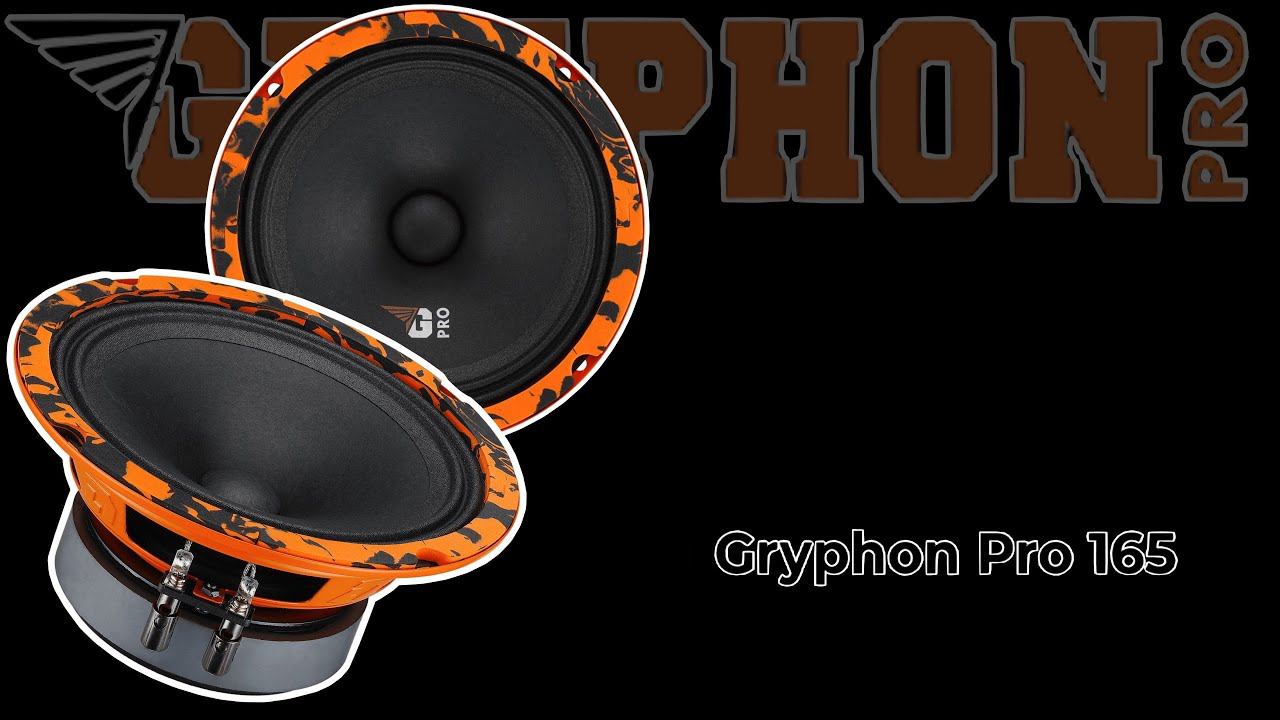 Распаковка и обзор динамиков DL Audio Gryphon Pro 165