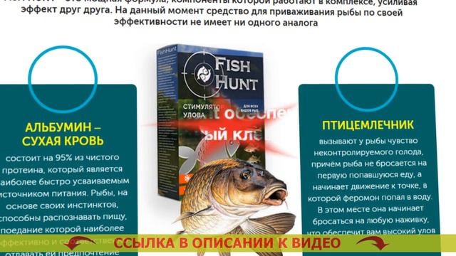 Домашняя прикормка для рыбы ⚫ Фиштейл приманка