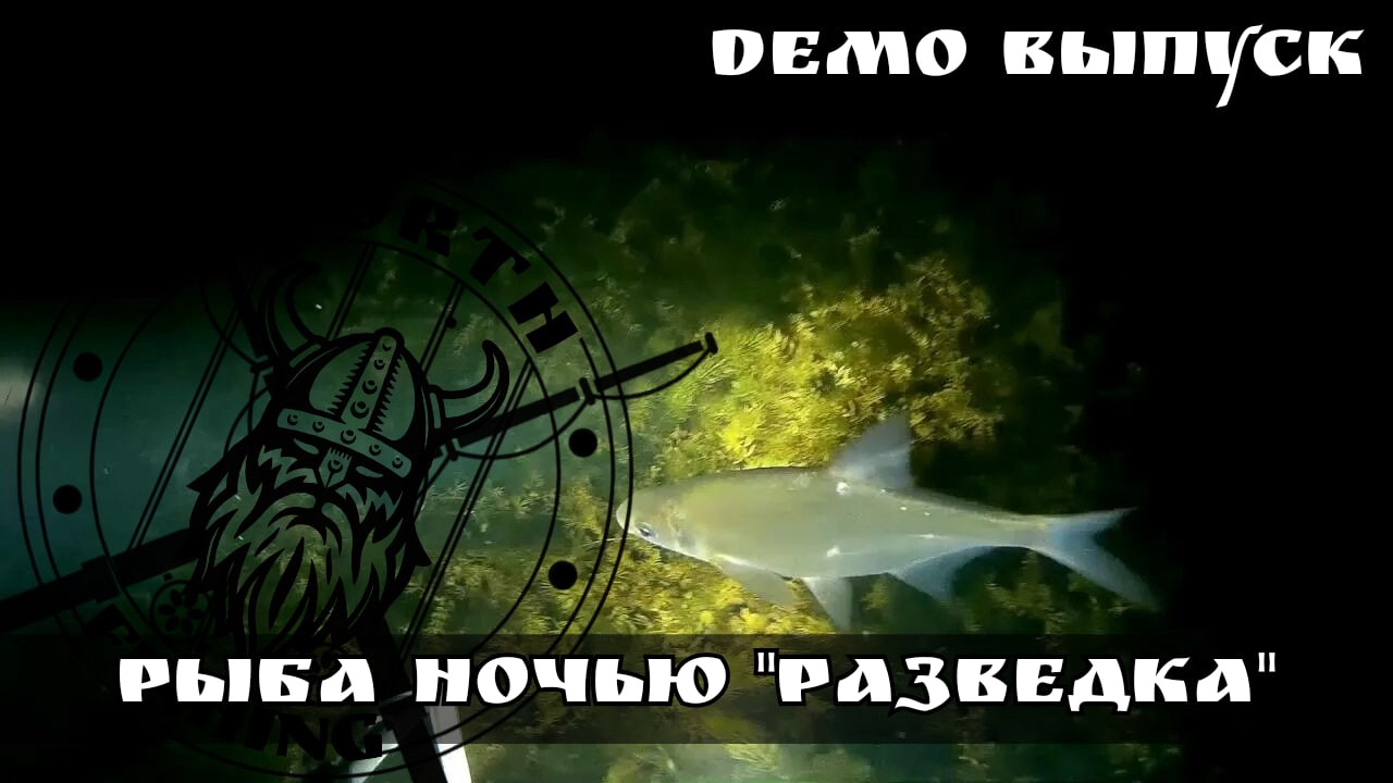 Рыба ночью, разведка водоема.  Поиск щуки