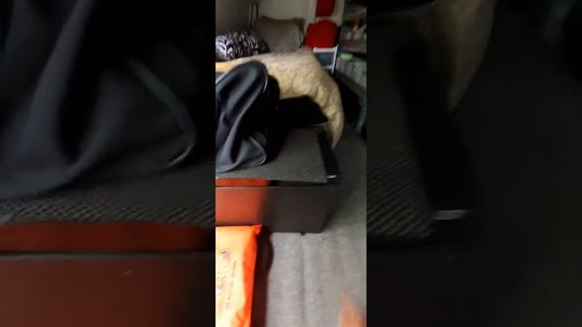 Quick Van Tour Of My Stealth Work Van Build