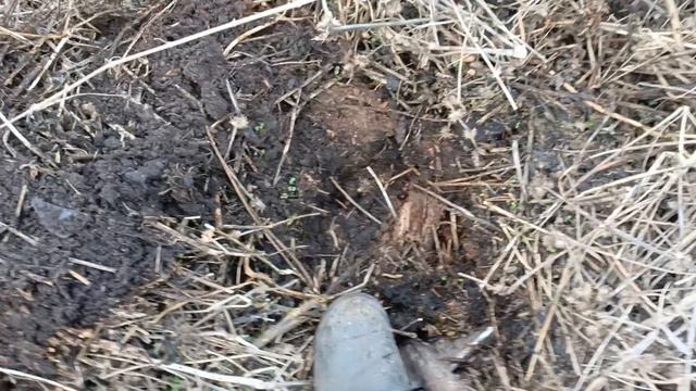 Прогулка с металлоискателем и новая порция находок со свалки.