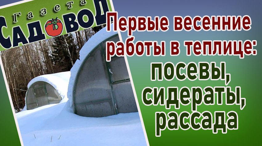 ПЕРВЫЕ ВЕСЕННИЕ РАБОТЫ В ТЕПЛИЦЕ: посевы, сидераты, рассада