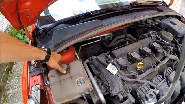 Ford Focus Fluid Maintenance 2012+