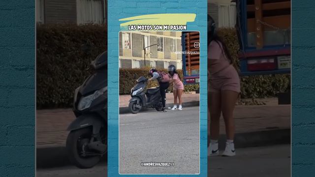две курицы