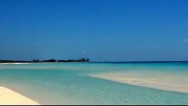 Bahamas  Gold Rock Beach  Grand Bahama Tours